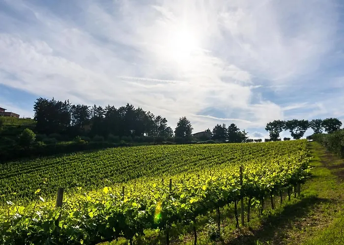 度假居 Mansion To Relax & Rejuvenate 佩鲁贾