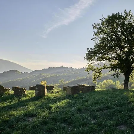 Mansion To Relax & Rejuvenate