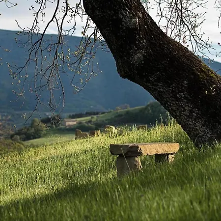 Mansion To Relax & Rejuvenate *