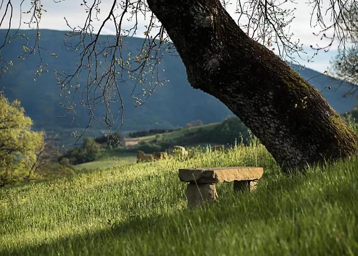 Mansion To Relax & Rejuvenate *